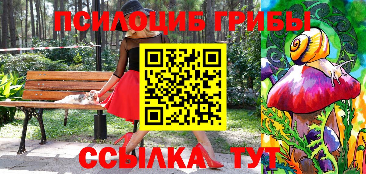 Алексеевка  Галлюциногенные грибы Psilocybine cubensis  Вход с VPN  Псилоцибиновые грибы прущие грибы 