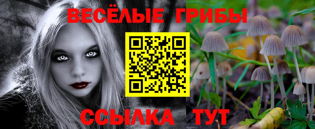 Псилоцибиновые грибы MAGIC MUSHROOMS Алексеевка